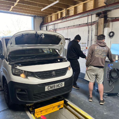 Administrative assistance helping streamline paperwork and compliance tasks